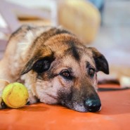 Фото: yunacenter.ru