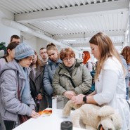 Выставка-пристройство «Возьми котика из приюта» 2023 фотографии