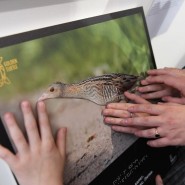 Выставка «Белая книга» фотографии