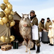 23 февраля в Альпака Парке Сокольники 2026 фотографии