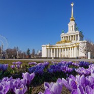 Фото: пресс-служба ВДНХ