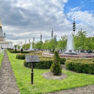 Топ-10 лучших событий на выходные 24 и 25 июня в Москве 2023 фотографии