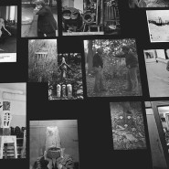 Выставка «Удивительное путешествие озорника» фотографии
