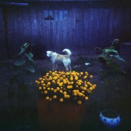 Выставка «Хольга» фотографии