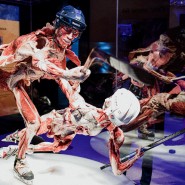 Выставка «BODY WORLDS. Мир тела» фотографии