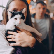 Благотворительный фестиваль «WOOF» 2023 фотографии