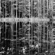 Выставка «Portfolio #2» фотографии
