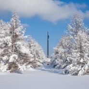 Татьянин день в Музее Победы 2022 фотографии