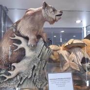 Выставка «Кто в Доме музеев живет?» фотографии