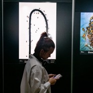 Международный фестиваль дикой природы «Золотая черепаха» 2022 фотографии