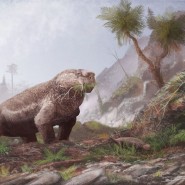Выставка «Аномодонты – зубные экспериментаторы палеозоя» фотографии