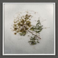 Выставка «New Elements» фотографии