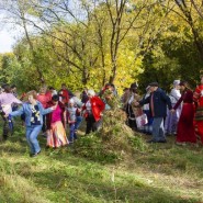 Выставка «Заповедный луг» фотографии