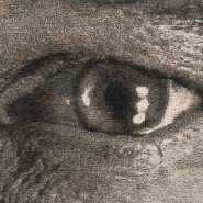 Выставка «Chuck Close. Infinite» фотографии