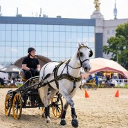 Чемпионат и Первенство Москвы по драйвингу 2023 фотографии