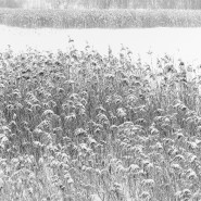 Выставка «Portfolio #2» фотографии