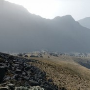 Выставка «Re-Locations» фотографии