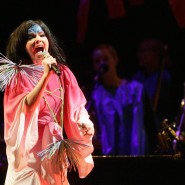 Концерт Björk 2022 фотографии
