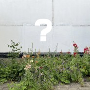 Выставка «Полезное разрушение» фотографии