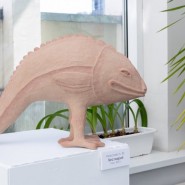 Фото: darwinmuseum.ru