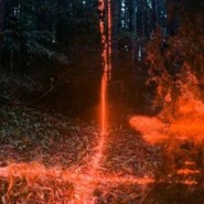 Фото: vk.com/rostokino_gallery