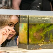 Фото: darwinmuseum.ru