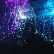 Выставка технологий «Smit.Space» фотографии
