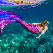 Подводное шоу «Приключение русалочек» 2021 фотографии