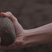 Выставка «Формы художественной жизни. Conflict Check» фотографии