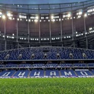Проект «Sport and Art» 2022 фотографии