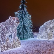 Световая инсталляция «Полярные медведи» 2021-2022 фотографии