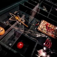 Фото: rosizo.ru