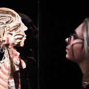 Выставка «BODY WORLDS. Мир тела» фотографии