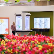 Фестиваль «Время цвести» 2023 фотографии
