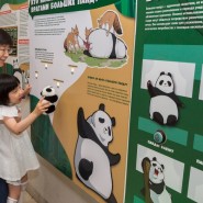Фото: darwinmuseum.ru
