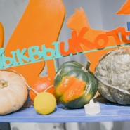Фестиваль «Тыквы и коты» 2022 фотографии