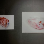 Выставка «rePlastic» фотографии