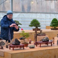 Экспозиция японских искусств в «Аптекарском огороде» фотографии