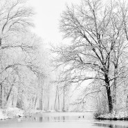 Выставка «Portfolio #2» фотографии