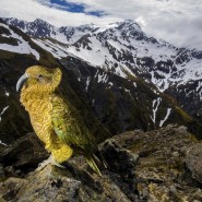 Выставка «Белая книга» фотографии