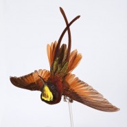 Фото: darwinmuseum.ru