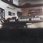 Выставка «Уберите чучело лося. К 100-летию краеведения» фотографии
