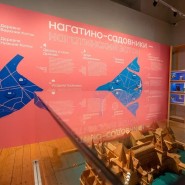 Фото: mosmuseum.ru
