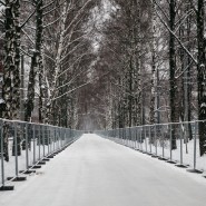 Катки с натуральным льдом в парках Москвы 2022-2023 фотографии