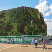 Фестиваль «Цветочный джем» 2023 фотографии