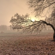 Выставка «Ветер странствий» фотографии