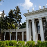 Интерактивное мультимедийное пространство «Лес» фотографии