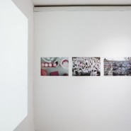 Выставка «Постспекулятивный дизайн. Деколонизация будущего» фотографии