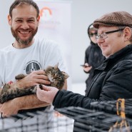 Выставка-пристройство «Возьми котика из приюта» 2023 фотографии