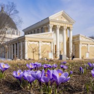 Фото: vdnh.ru